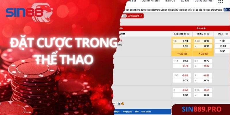 Các loại kèo phổ biến